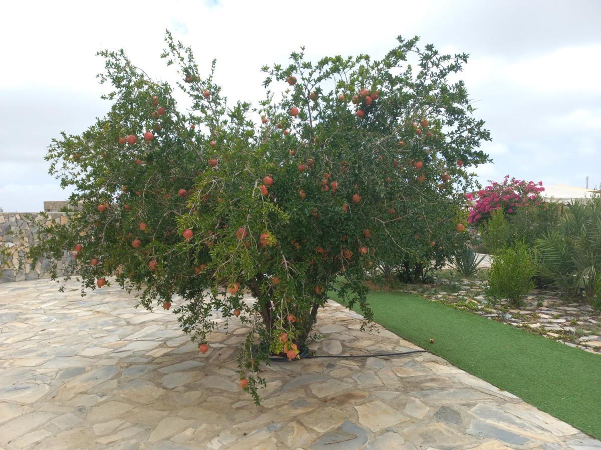 杰夏姆斯度假村 Dar Sawda 外观 照片